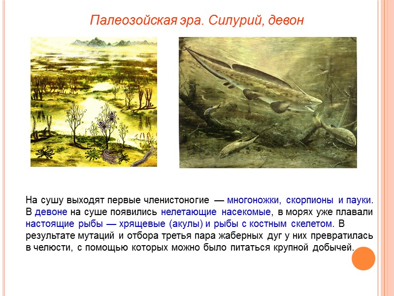 Палеозойская эра. Силурий, девон На сушу выходят первые членистоногие — многоножки, скорпионы и пауки.